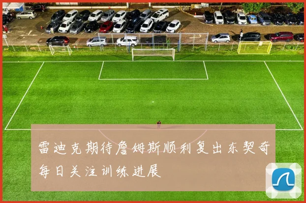 雷迪克期待詹姆斯顺利复出东契奇每日关注训练进展