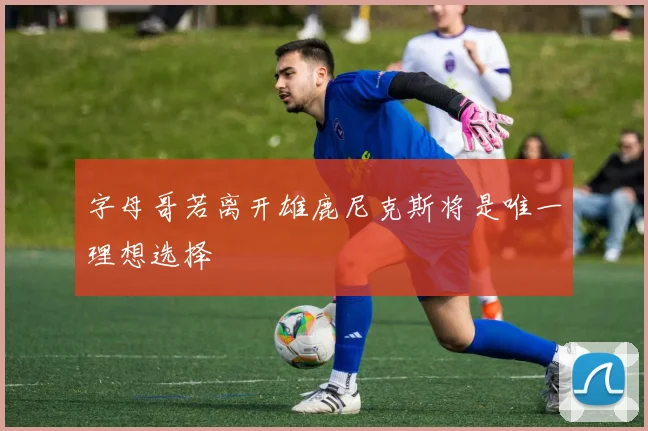 字母哥若离开雄鹿尼克斯将是唯一理想选择