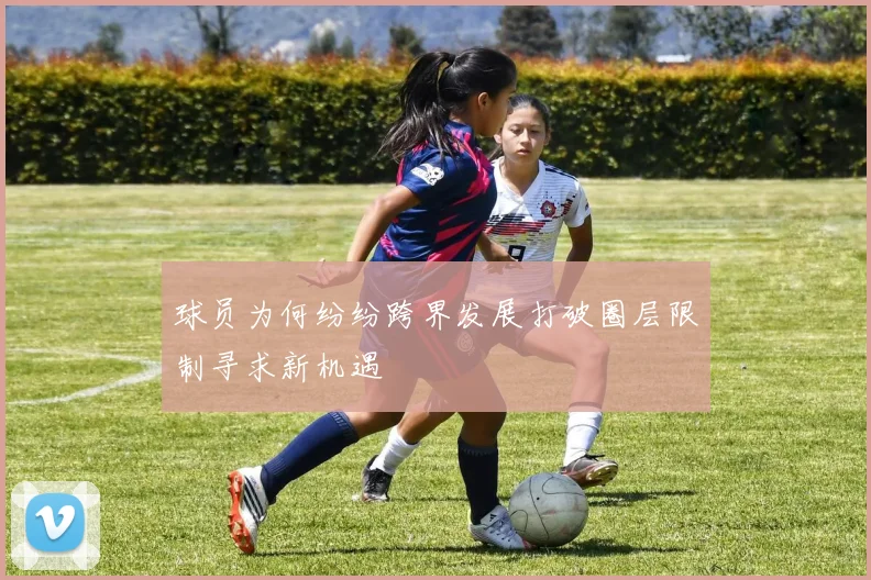 球员为何纷纷跨界发展打破圈层限制寻求新机遇