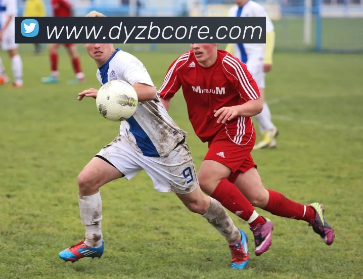 斗鱼直播全站App